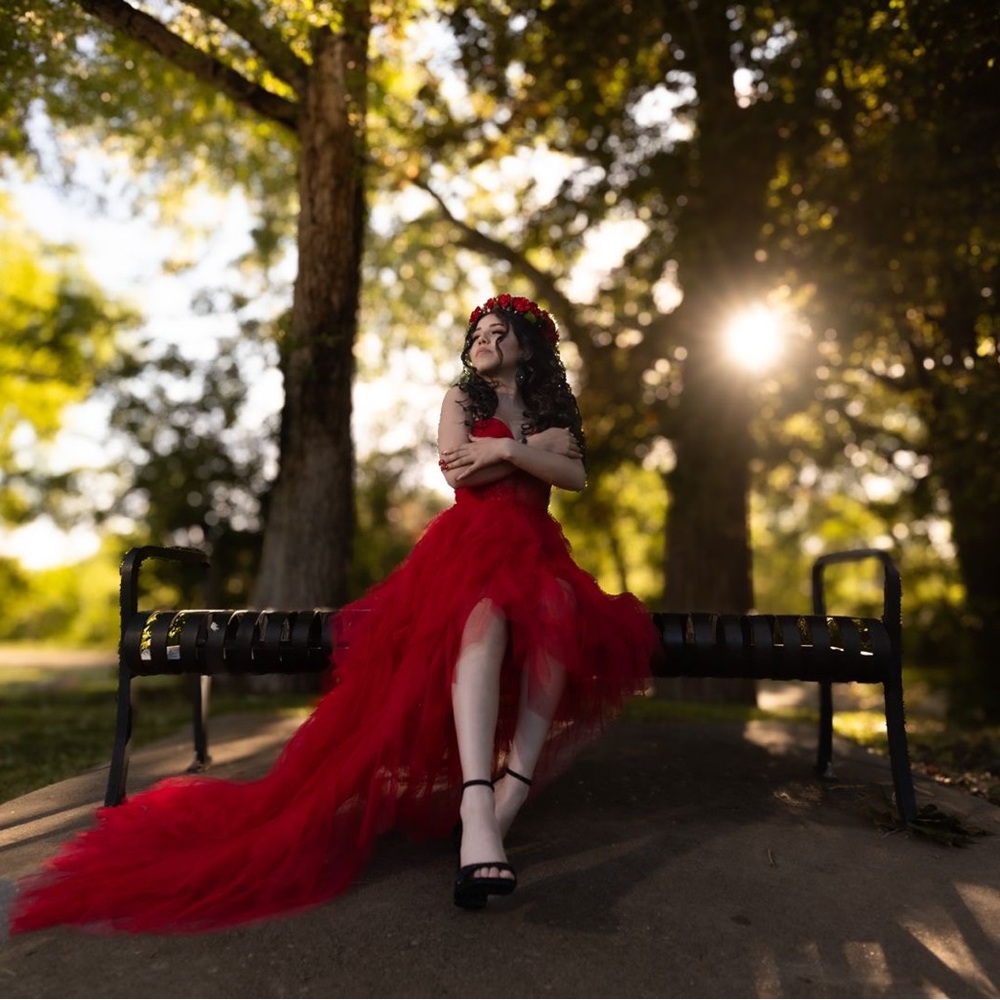 Elegant Red Gown with Train